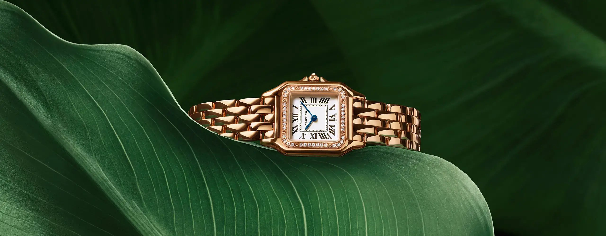 WATCHES